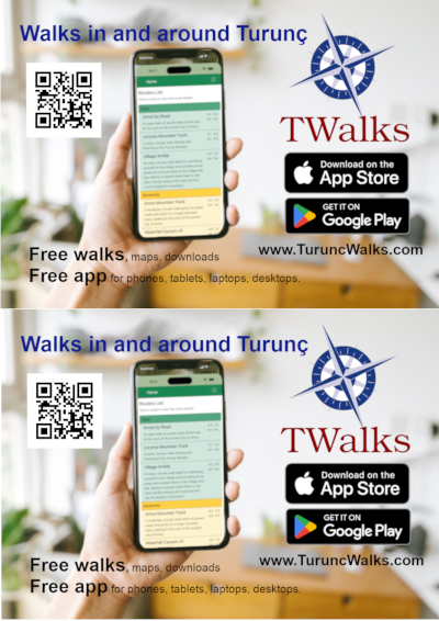 A5 Flyer Thumb Image