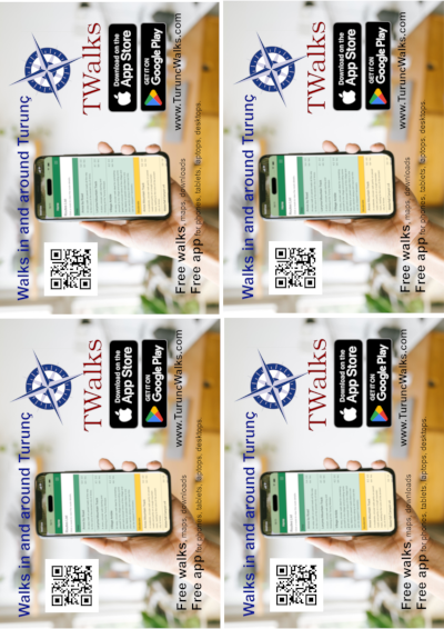 A6 Flyer Thumb Image