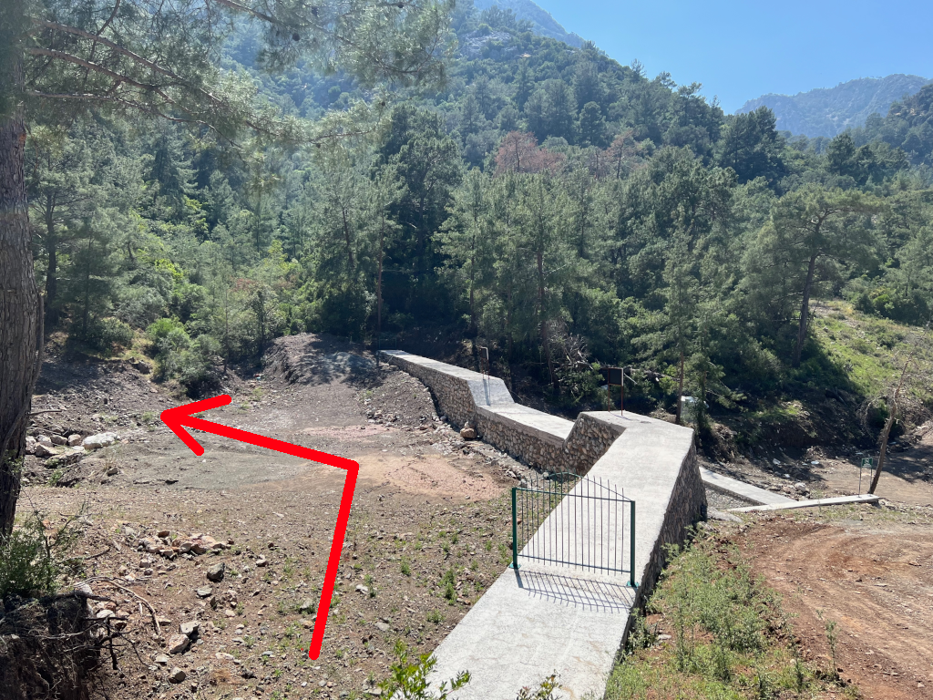 Section Image