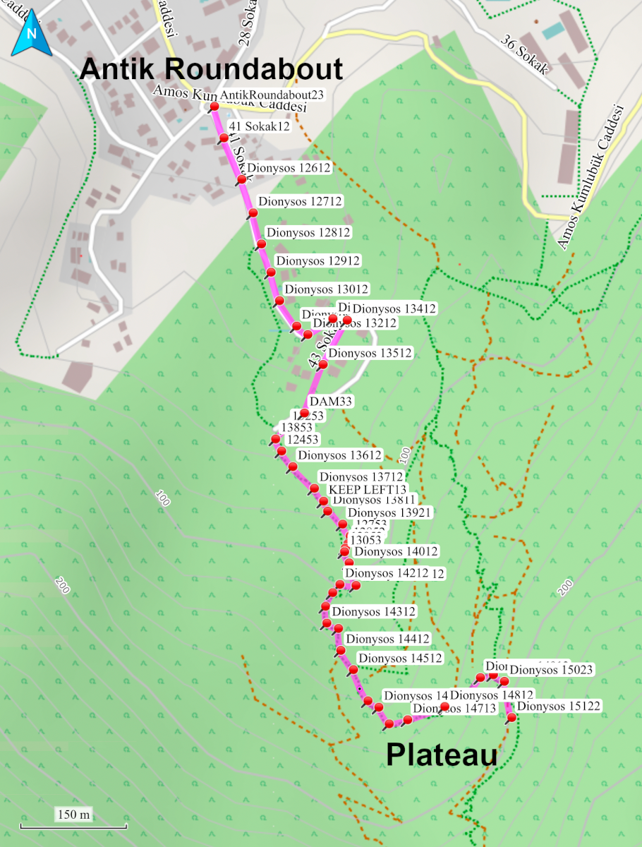 Section Image
